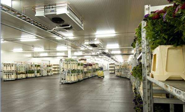 寧波建冷庫(kù)多少錢(qián)一立方？每立方能存多少貨物